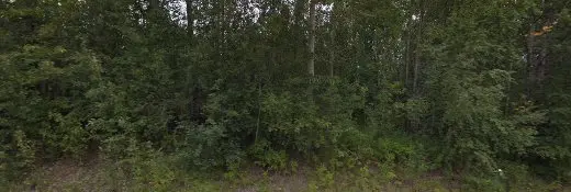 Dog breeder L-N-R Kennels Anchorage