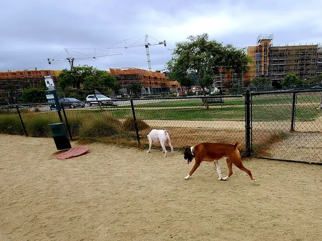 Dog Park Civita Park San Diego
