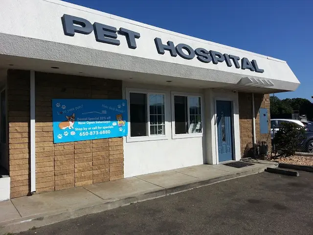 Dog Grooming Spruce Avenue Pet Hospital San Francisco