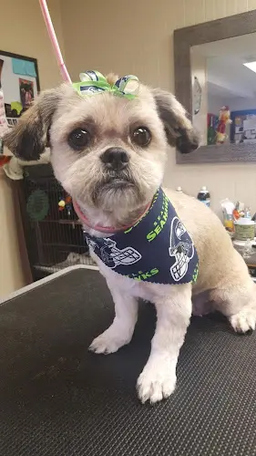 Dog Grooming Grooming Gals Renton
