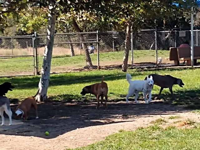Dog Park Vina Vieja Park Inglewood