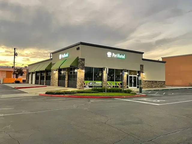 Dog day care center Pet Service Solutions - Upland Riverside