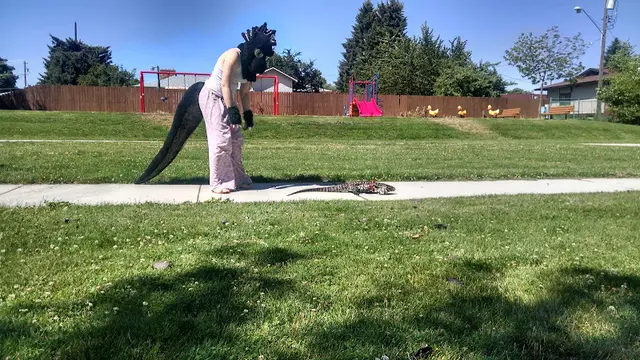 Dog Park Fairview Park Spokane