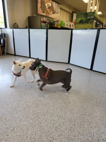 Dog breeder Petco Federal Way
