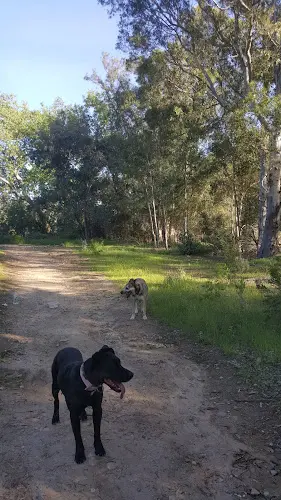 Dog Park Darrah Volunteer Park Simi Valley
