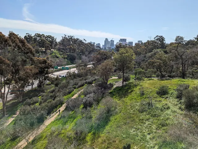 Dog Park Balboa Park San Diego