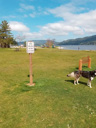 Dog Park Sudden Valley Dog Park Bellingham
