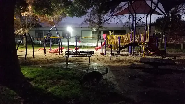 Dog Park Maple Street Playground Burbank