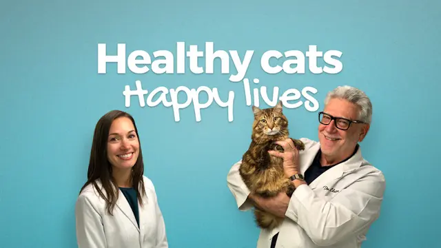 Pet boarding service T.H.E. Cat Hospital Irvine
