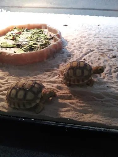 Pet boarding service Aquatic Pets and Reptiles Clovis