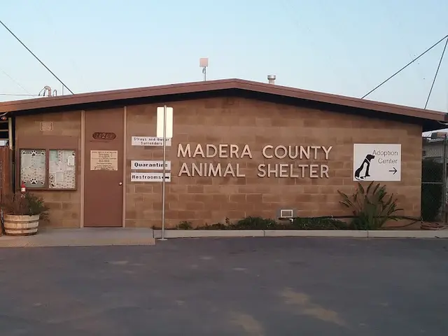 Rescue & Shelter Madera County Animal Services Fresno
