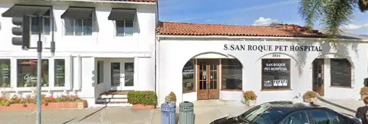 Pet vet HydroPaws Santa Barbara