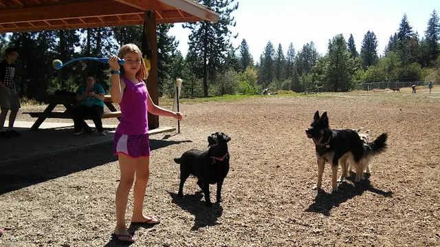 Dog Park High Bridge Park Spokane