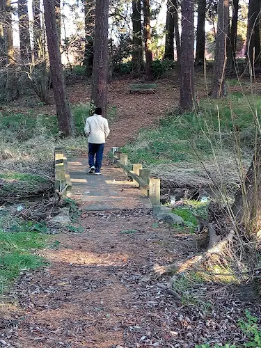 Dog Park Amberglen Hillsboro