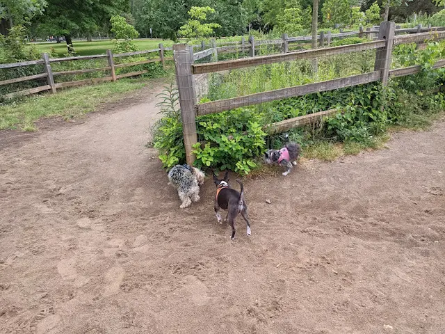 Dog Park Willamette Park Gresham