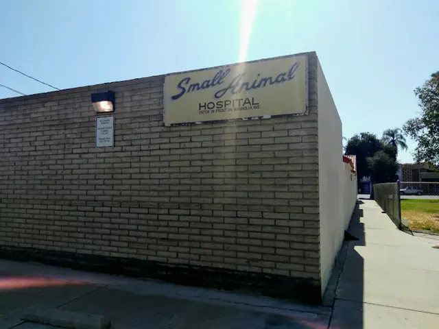 Pet vet Small Animal Hospital Riverside