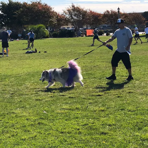 Dog trainer Inception K9 Academy San Diego