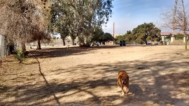 Dog day care center Griffith Park Dog Park Glendale