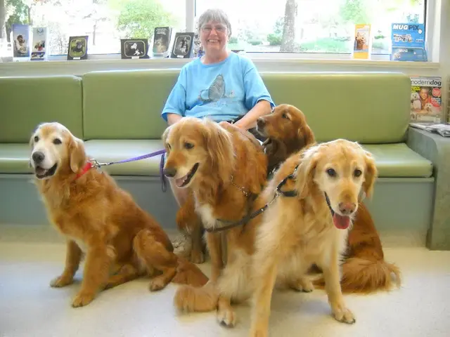 Dog day care center Canyon Pet Hospital Beaverton