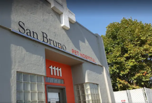 Dog day care center San Bruno Pet Hospital Daly City