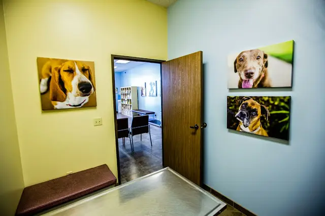 Pet vet Moorpark Veterinary Hospital Simi Valley