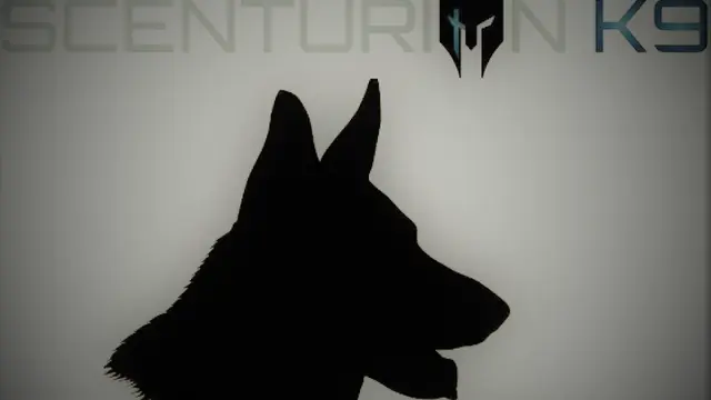 Dog trainer AEP Services & Scenturion K9 Fontana