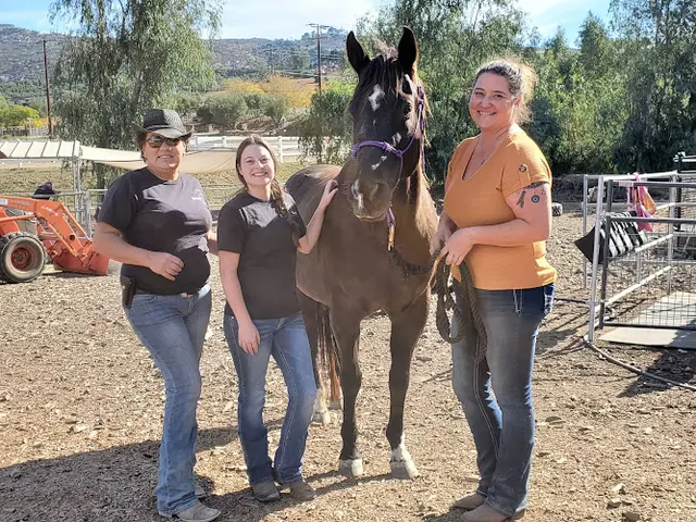 Rescue & Shelter ResQue Ranch San Diego