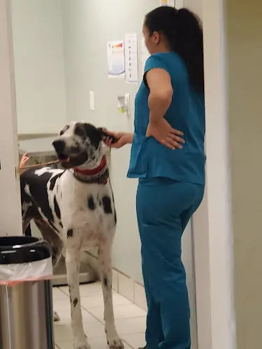 Pet boarding service Ohana Veterinary Clinic Torrance