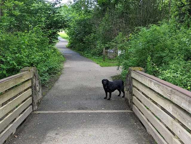 Dog Park Durham City Park Gresham