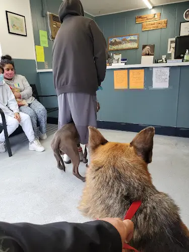 Pet vet Wapato Toppenish Veterinary Clinic Yakima
