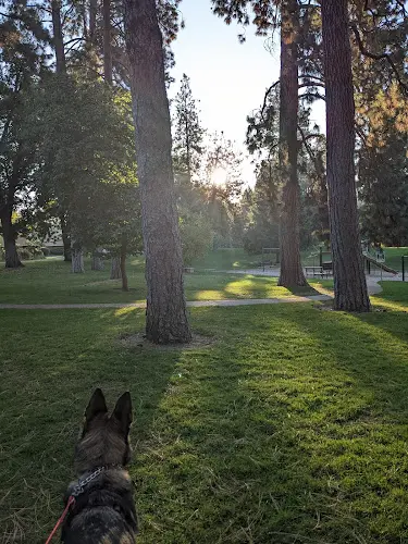 Dog Park Cannon Hill Park Spokane