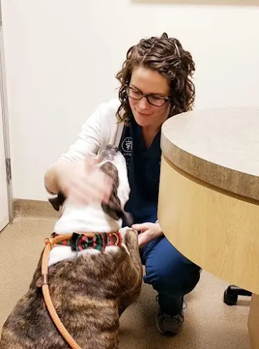 Pet vet Animal Dermatology Clinic Pasadena