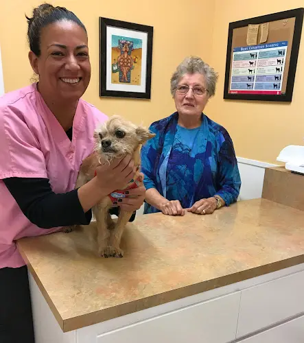 Pet vet Laurelwood Veterinary Clinic San Mateo