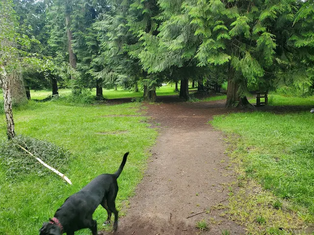 Dog Park Kane Memorial Dog Park Gresham