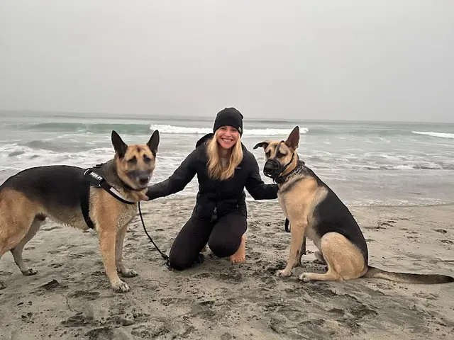 Dog trainer IQ K9 Training Vista