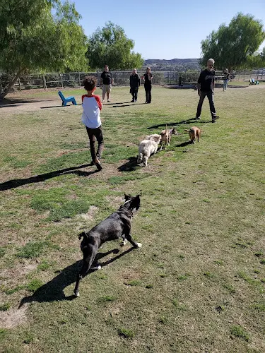 Dog walker El Dorado Park Dog Park Long Beach