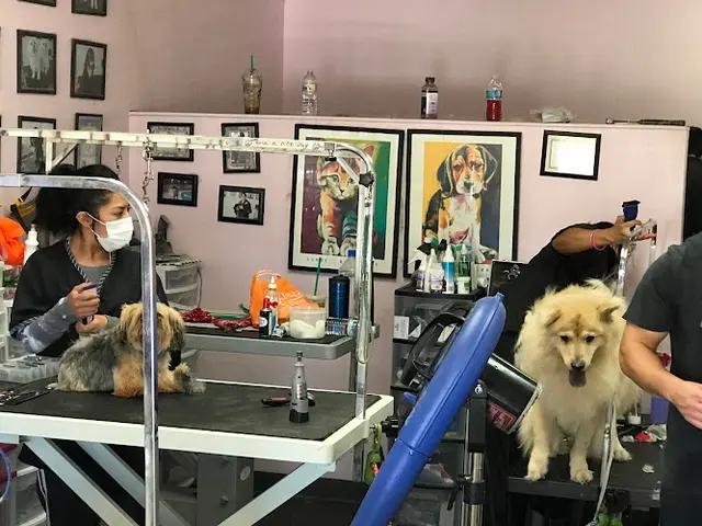 Dog Grooming K Pet Grooming Simi Valley