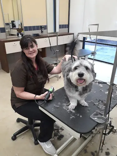Dog breeder Petco Chico