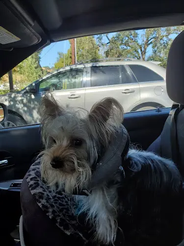 Pet vet Dr. Racelle LaMar Santa Rosa