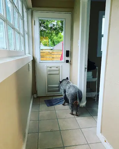 Pet boarding service Spokane Pet Door Spokane
