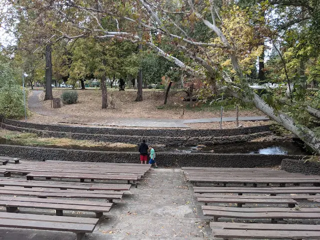 Dog Park Lost Park Chico