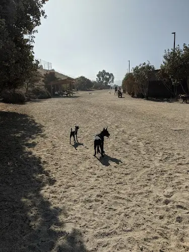 Dog Park Burlingame Dog Exercise Park Daly City