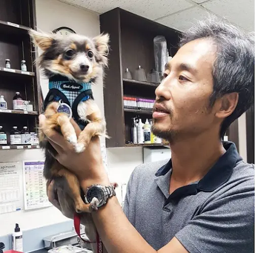 Pet vet Rancho Sequoia Veterinary Hospital Simi Valley