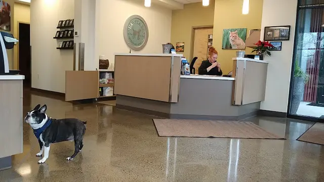 Pet vet Juanita Bay Veterinary Hospital Kirkland