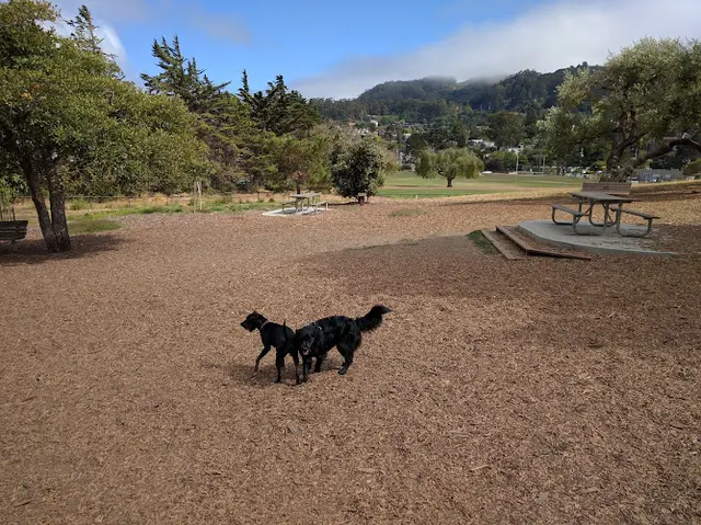 Dog Park Remington Dog Park Vallejo