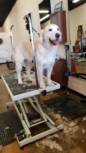 Dog Grooming California Groomin' Salinas