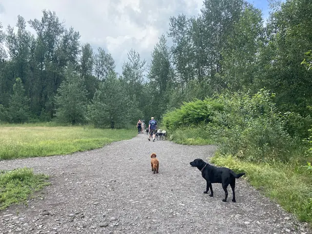 Dog Park Sandy River Delta Gresham