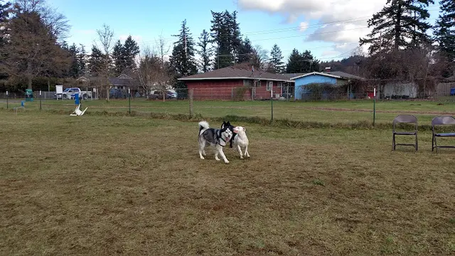 Dog Park Lynchwood Park Gresham
