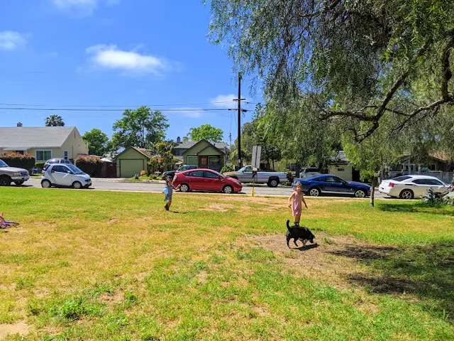 Dog Park Collier Neighborhood Park San Diego