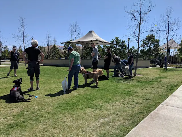 Dog Park Cypress Community Park Irvine